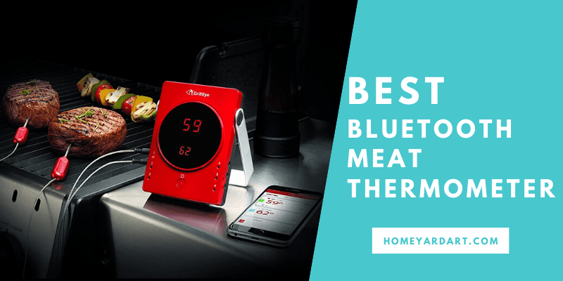 best bluetooth meat thermometer