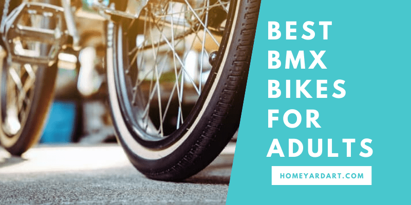 Best BMX Bikes for Adults